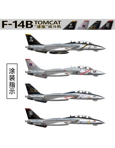 US Navy F-14B TOMCAT 2