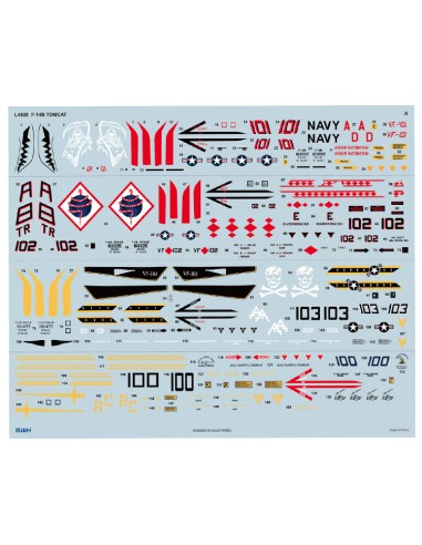 US Navy F-14B TOMCAT