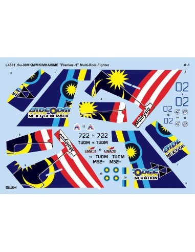 Su-30 MKM / MK / MKA / SME 'Flanker H'...
