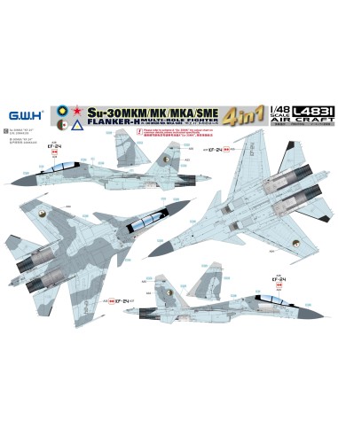 Su-30 MKM / MK / MKA / SME 'Flanker H'...