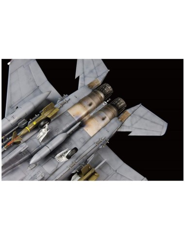 USAF F-15E In action of OEF & OIF