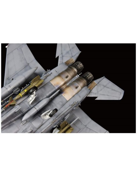 USAF F-15E In action of OEF & OIF