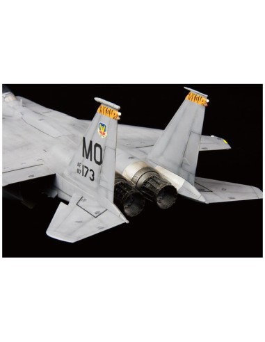 USAF F-15E In action of OEF & OIF