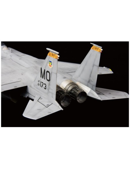 USAF F-15E In action of OEF & OIF