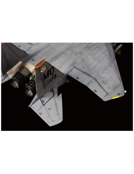 USAF F-15E In action of OEF & OIF