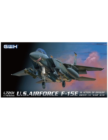 USAF F-15E In action of OEF & OIF