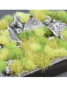 SET DE PRADERA VERDE