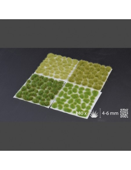 SET DE PRADERA VERDE