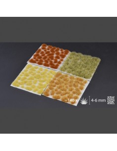 SET DE ESTEPA SECA 2