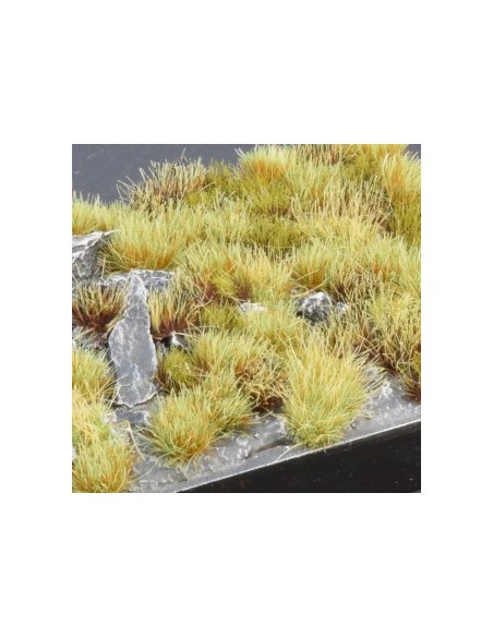 SET DE VEGETACIÓN DE PANTANO