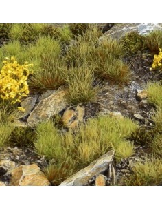 SET DE VEGETACIÓN DE MONTAÑA