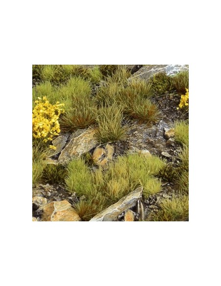 SET DE VEGETACIÓN DE MONTAÑA