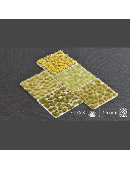 SET DE VEGETACIÓN DE MONTAÑA