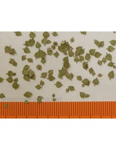 HOJAS DE TILO VERDE 1/35