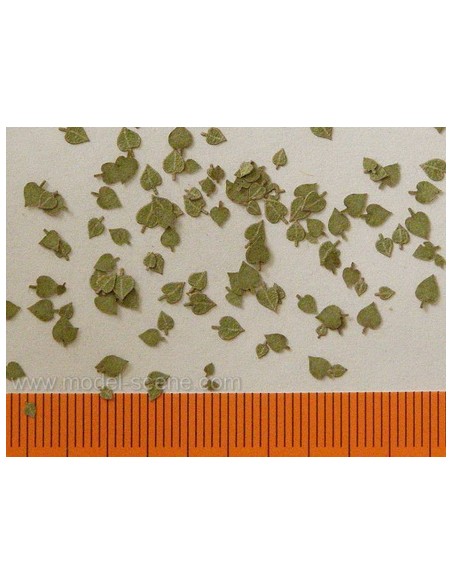 HOJAS DE TILO VERDE 1/35