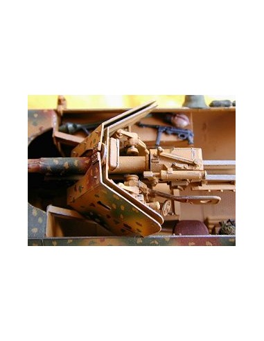 Mtl.SPW.Sd.Kfz.251/9 Ausf.D (7.5cm KwK 37L/24)...