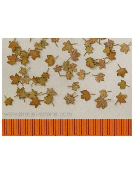 HOJAS DE ARCE - OTOÑO 1/72 - 1/87