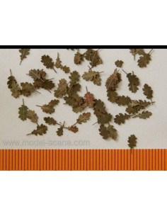 HOJAS DE ROBLE - OTOÑO 1/72 - 1/87