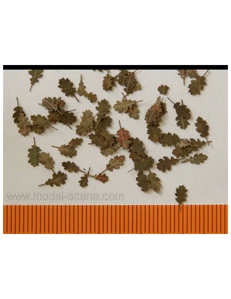 HOJAS DE ROBLE - OTOÑO 1/72 - 1/87