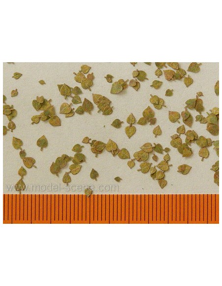 HOJAS DE TILO - OTOÑO 1/72 - 1/87