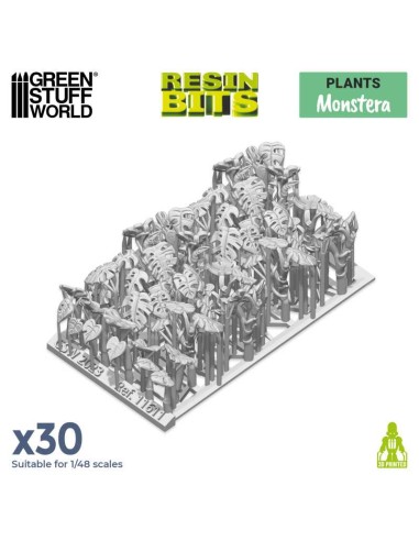 SET IMPRESO EN 3D - PLANTA MONSTERA