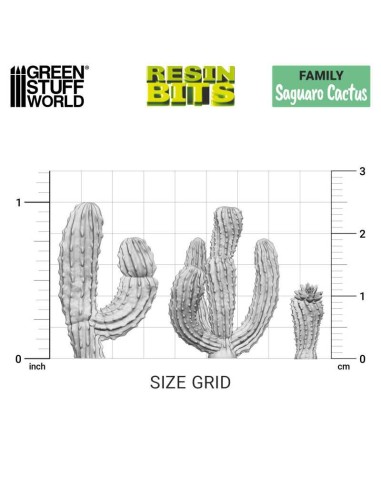 SET IMPRESO EN 3D - CACTUS SAGUARO