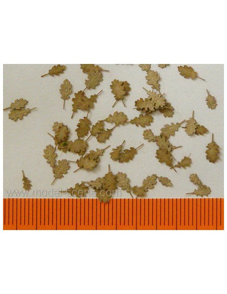 HOJAS SECAS DE ROBLE 1/72 - 1/87