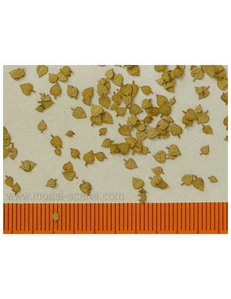 HOJAS SECAS DE TILO 1/72 - 1/87