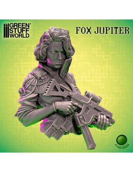 STUDIO GAKODA - FOX JUPITER