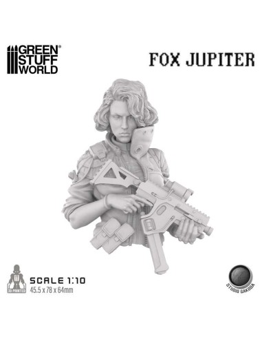 STUDIO GAKODA - FOX JUPITER