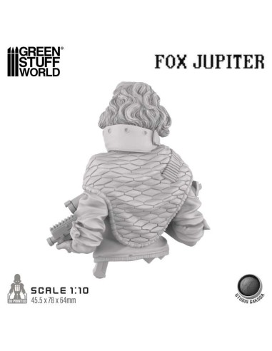 STUDIO GAKODA - FOX JUPITER