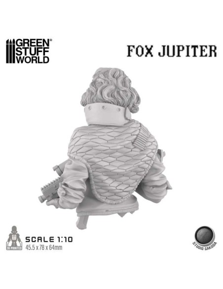 STUDIO GAKODA - FOX JUPITER