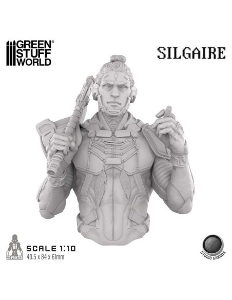 STUDIO GAKODA - SILGAIRE