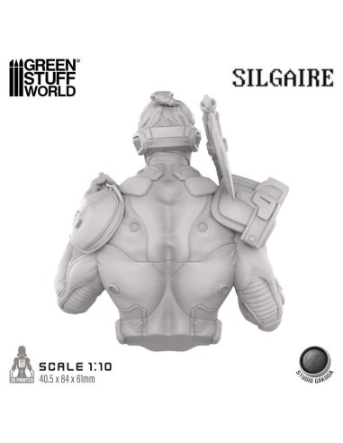 STUDIO GAKODA - SILGAIRE