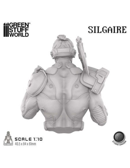 STUDIO GAKODA - SILGAIRE