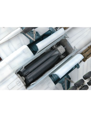 Tu-22M3 Backfire C Strategic bomber  LEER...