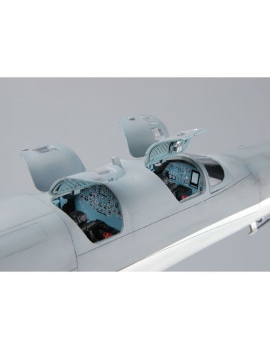 Tu-22M3 Backfire C Strategic bomber  LEER...