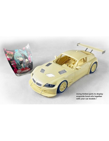 Hatsune Miku BMW Z4 2009 Studie Glad Racing GT3
