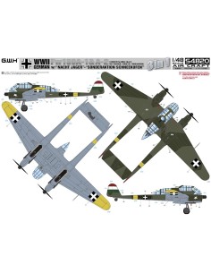 WWII Fw 189 A1 y A2 Nacht Jager Alemán con patines... 2