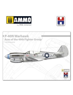 P-40N Warhawk Aces of the 49th Fighter Group