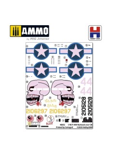 P-40N Warhawk over CBI 2