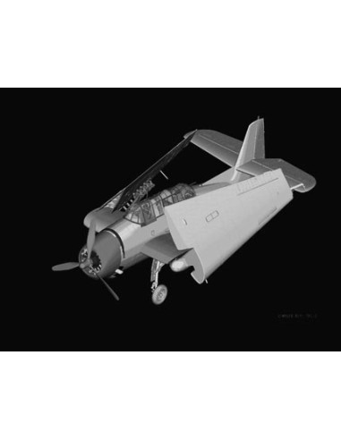 British Fleet Air Arm Avenger Mk 1