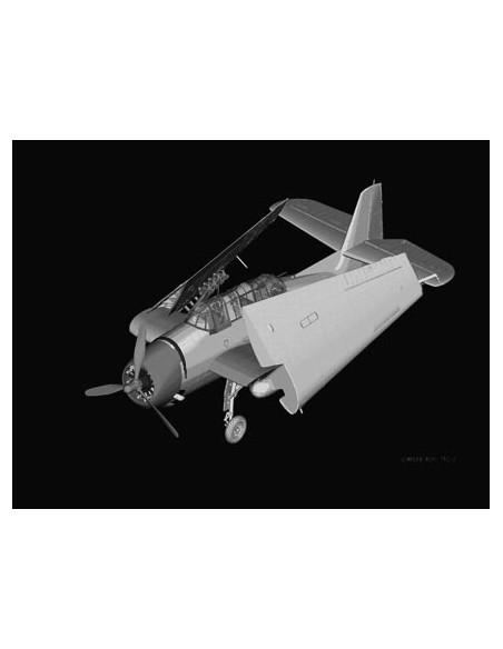 British Fleet Air Arm Avenger Mk 1