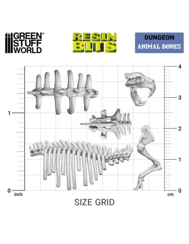 SET IMPRESO EN 3D - HUESOS DE ANIMALES