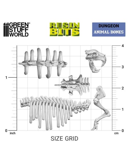 SET IMPRESO EN 3D - HUESOS DE ANIMALES