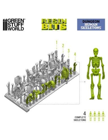 SET IMPRESO EN 3D - ESQUELETOS HUMANOS 1:35