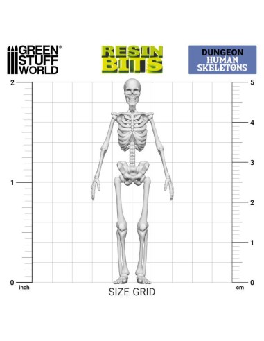 SET IMPRESO EN 3D - ESQUELETOS HUMANOS 1:35