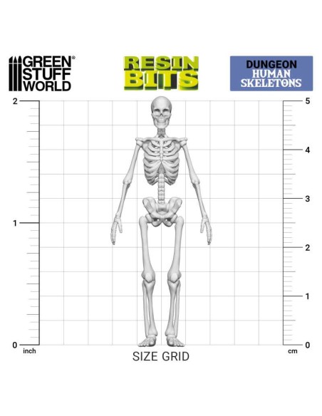 SET IMPRESO EN 3D - ESQUELETOS HUMANOS 1:35