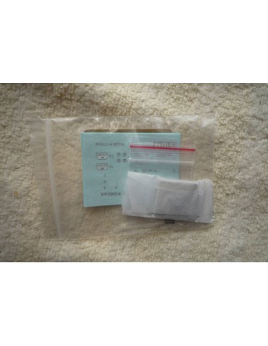 German IIWW Motorcycle BMW R75 with Sidecar