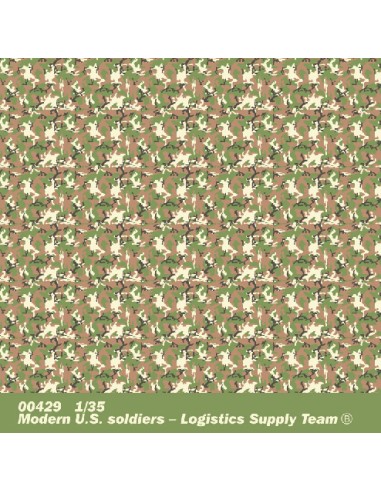 Modern U.S. soldiers